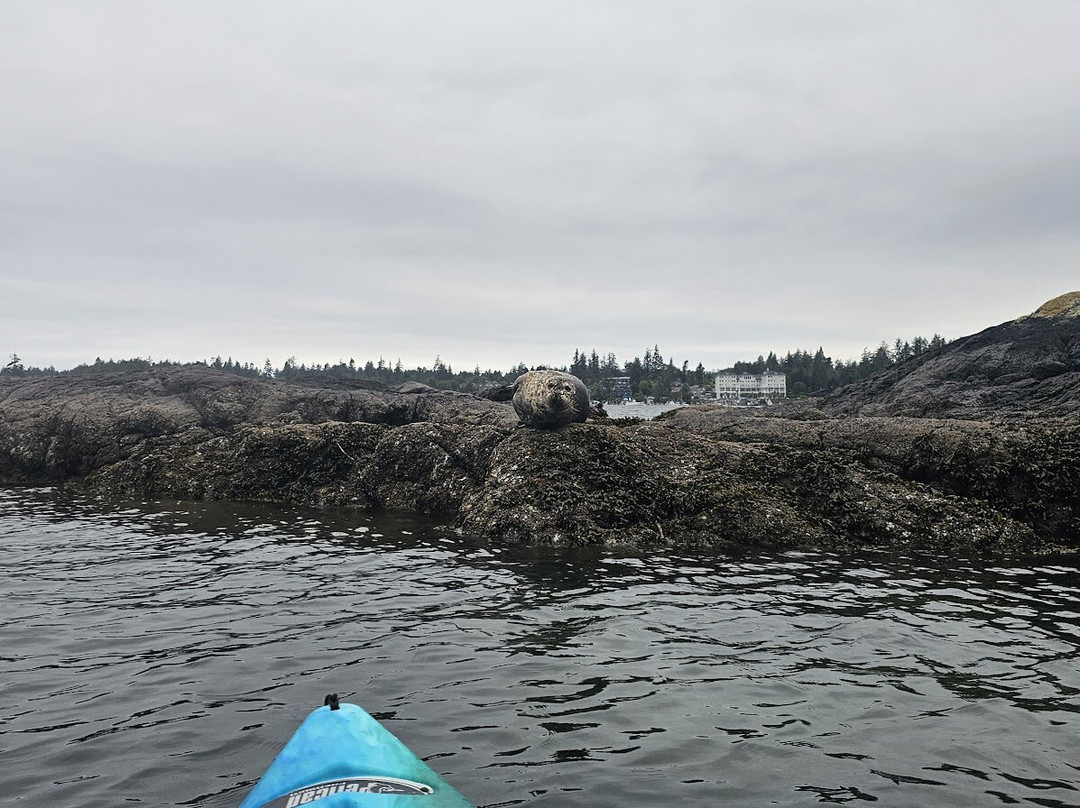 Mystic Beach Adventures Inc-苏克必去景点