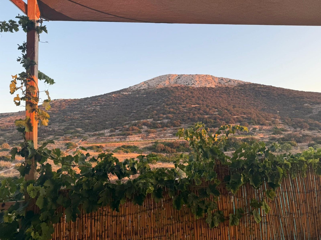 Para Kopois Winery-Parakopi必去景点