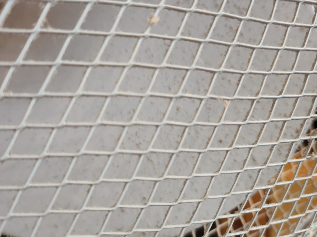 Premier Inn Glasgow (Paisley) hotel主图