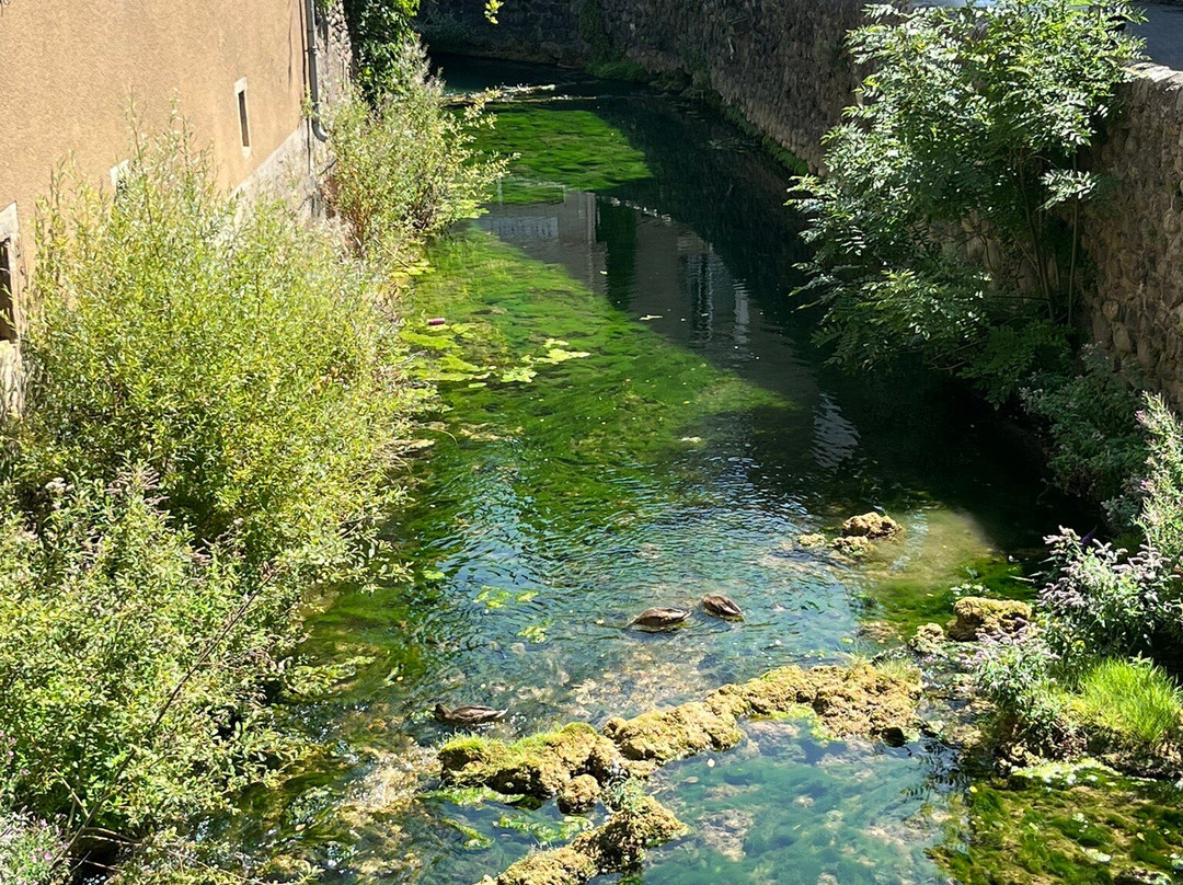 Parc National des Cévennes-Florac必去景点