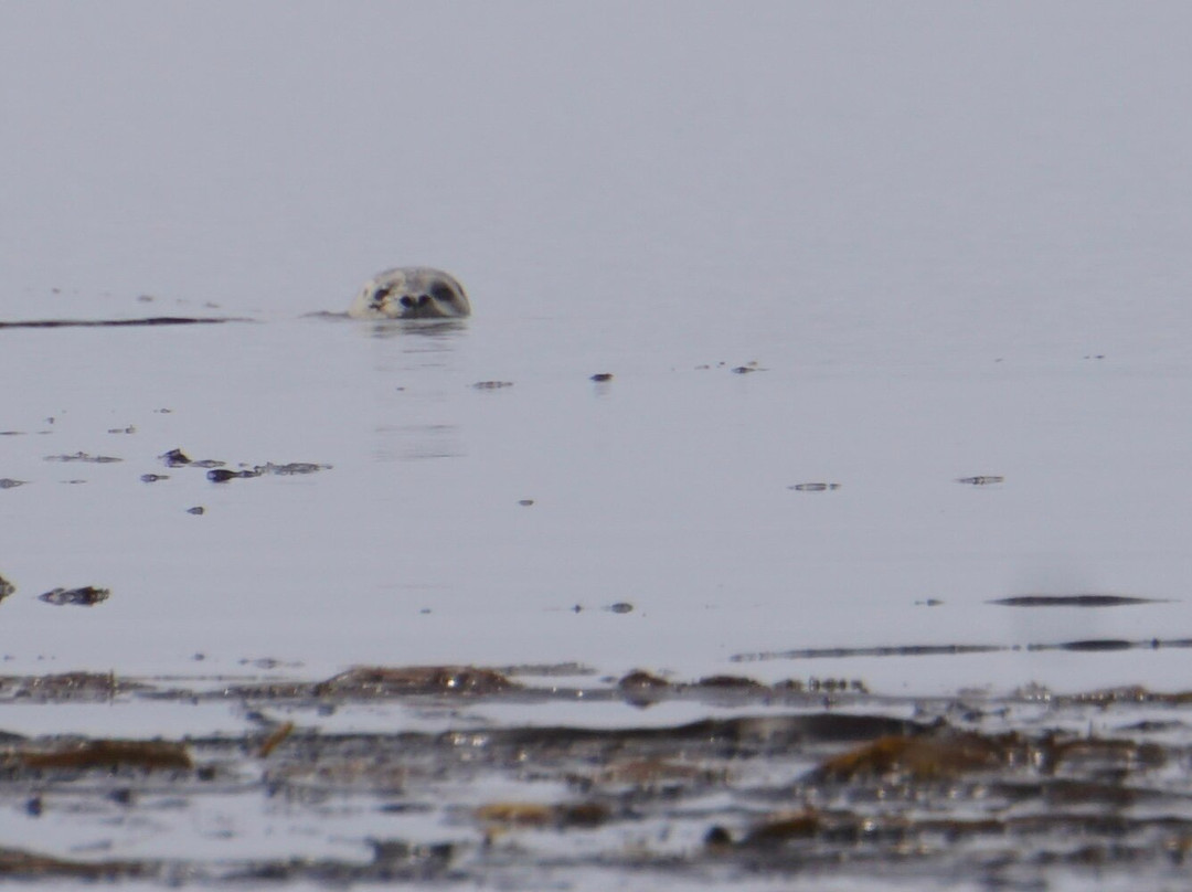 Glacier Bay Sea Kayaks-古斯塔夫斯必去景点