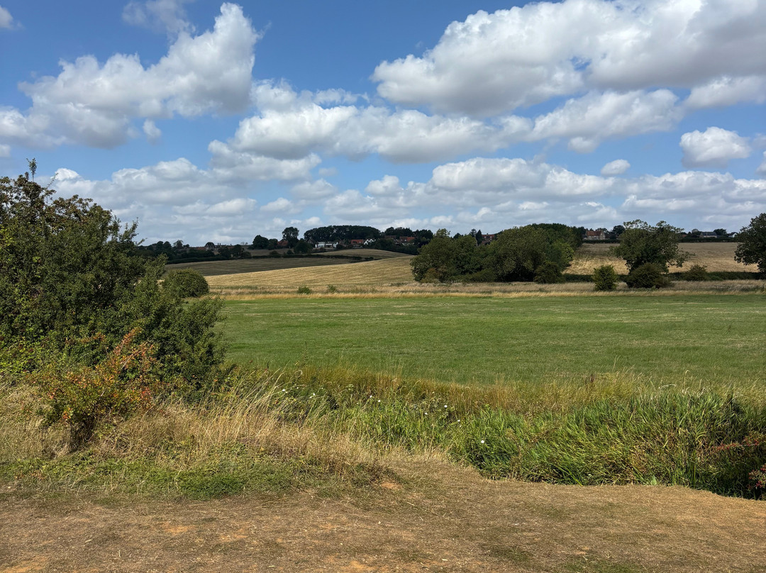 Summer Leys Nature Reserve-Wollaston必去景点