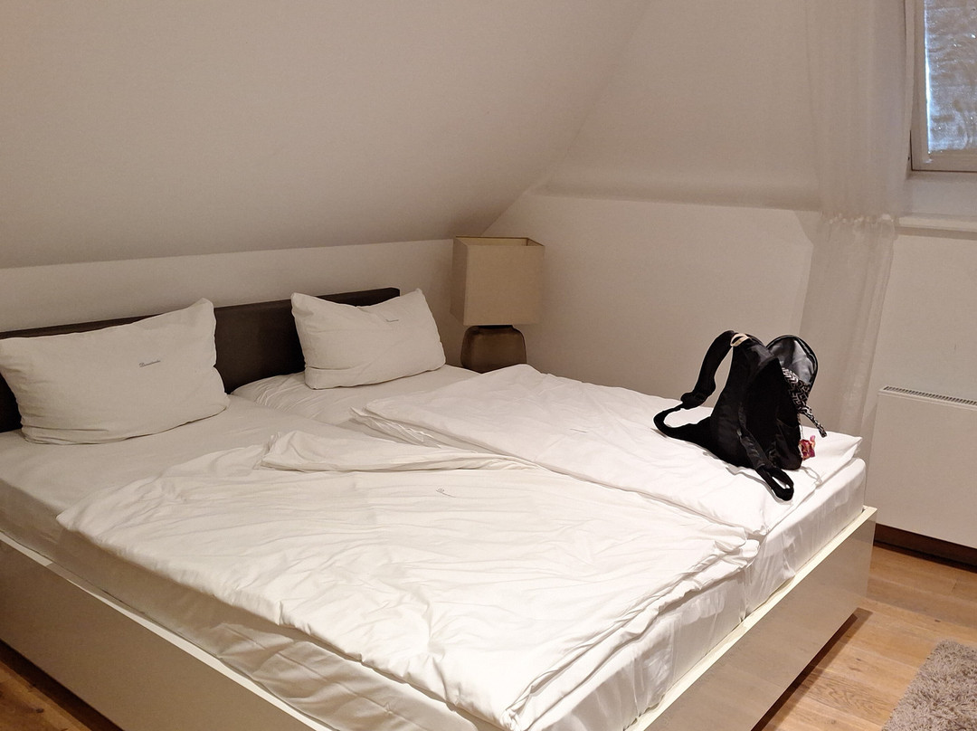 Hotel Domschenke主图