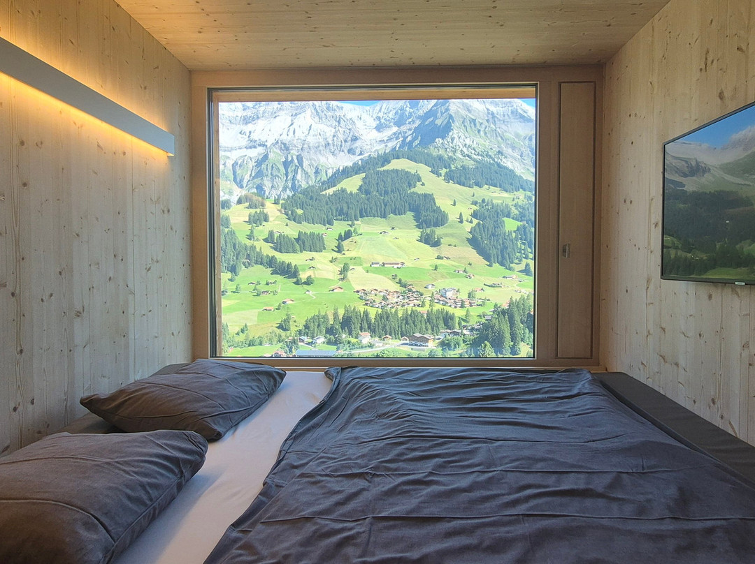 Revier Mountain Lodge Adelboden主图