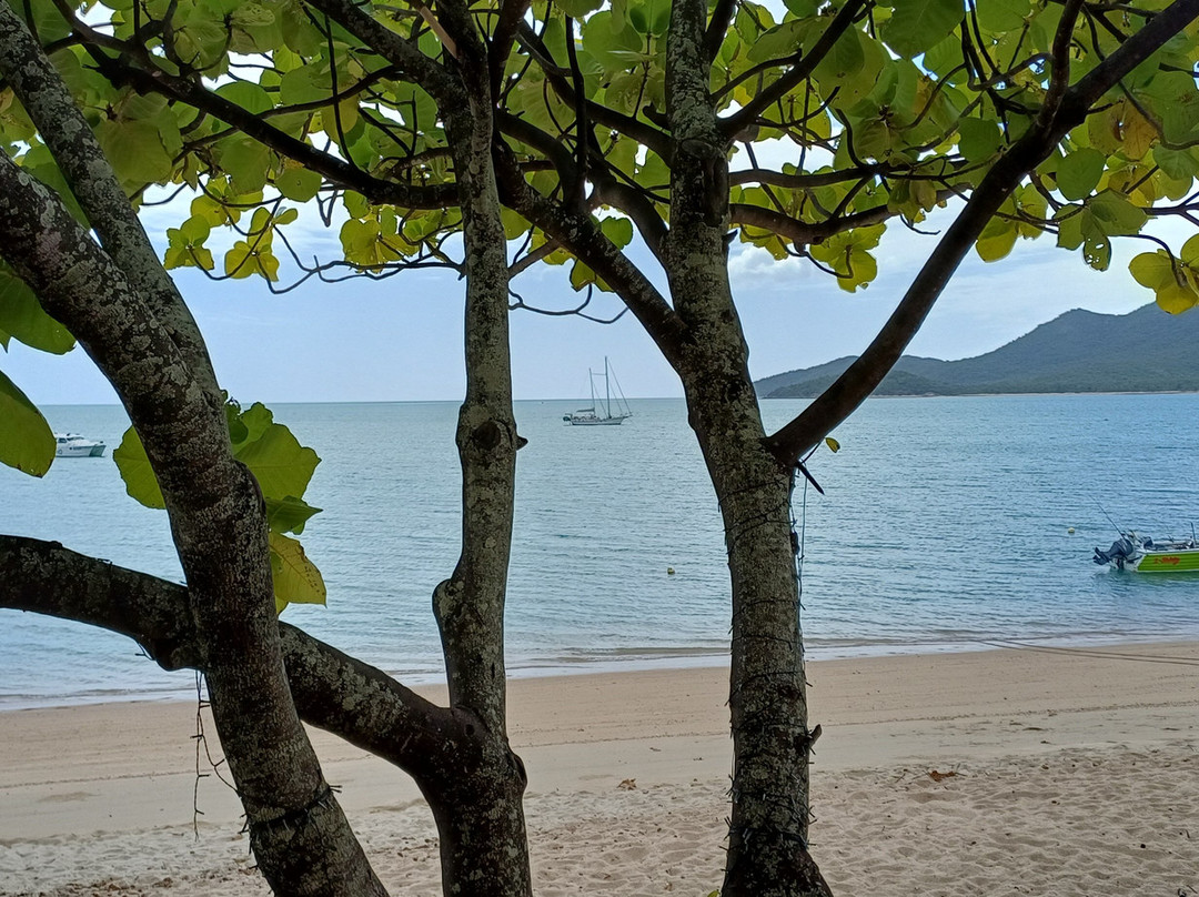 Great Value Holidays-凯恩斯必去景点