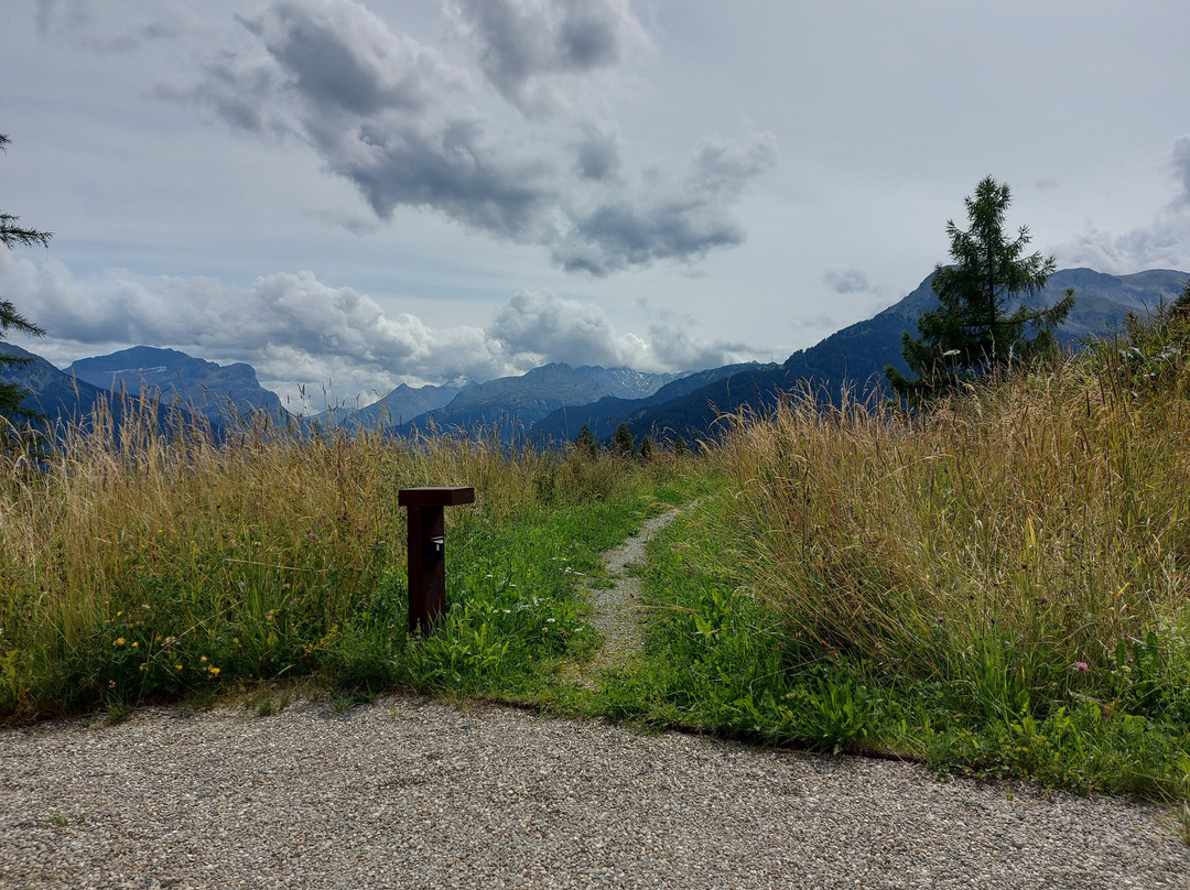 Pensiun Laresch主图