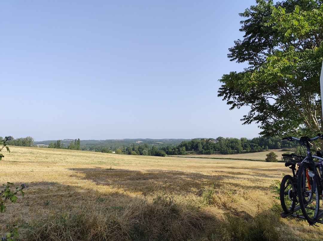 Domaine Les Miquels主图