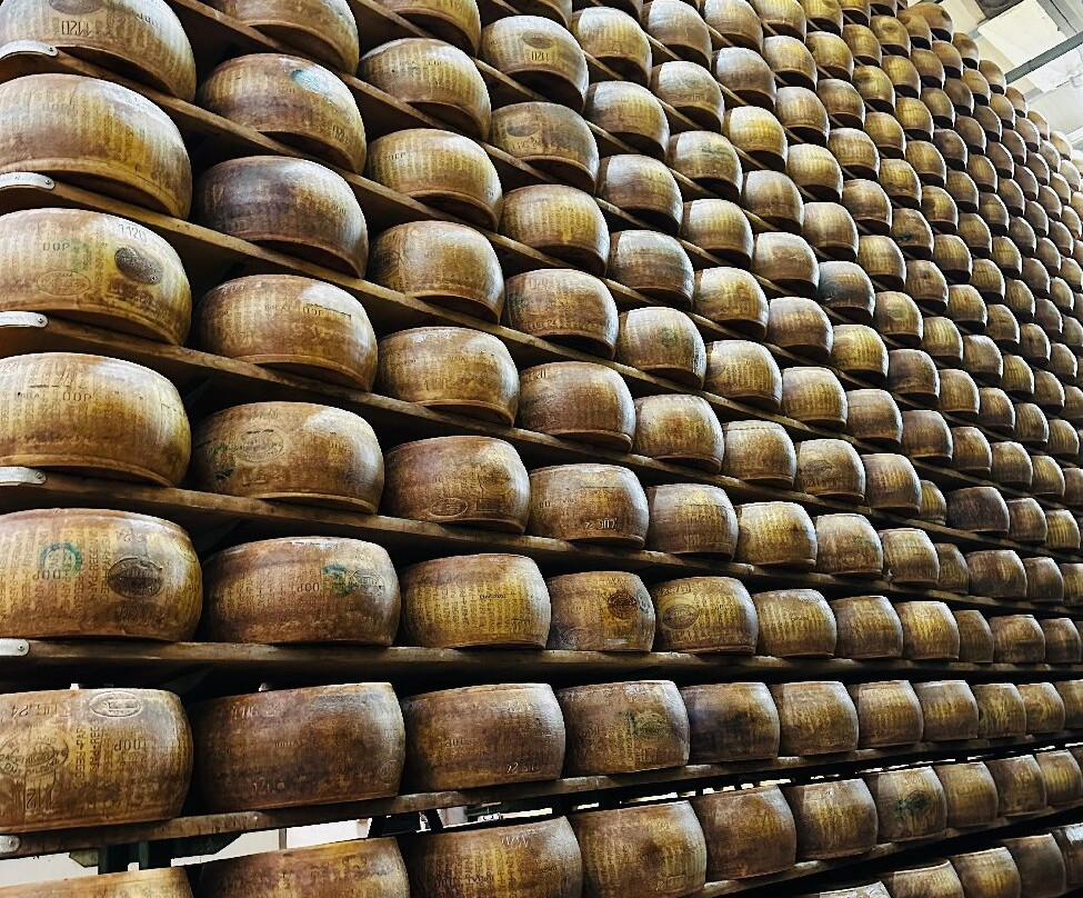 Azienda Agricola Moscattini-Formigine必去景点