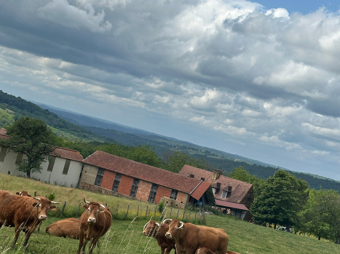 Aquitaine Bike-库和比加罗屈埃必去景点