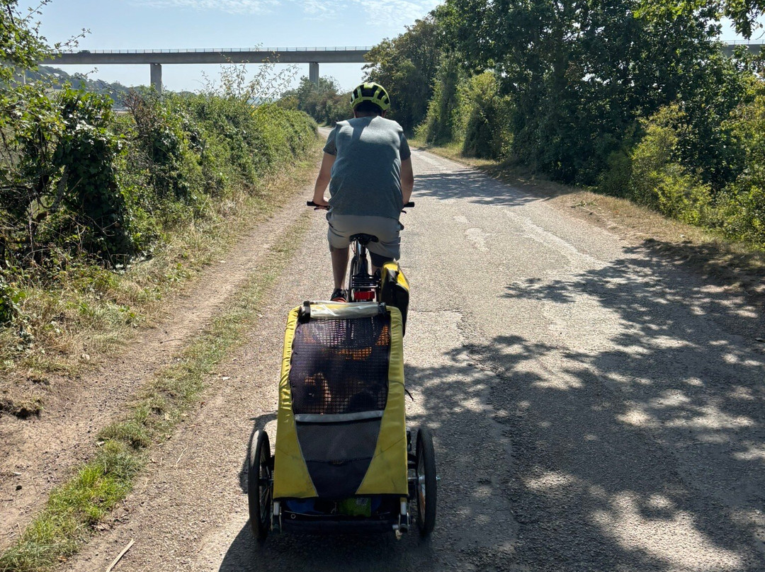 Camel Trail Cycle Hire-Wadebridge必去景点