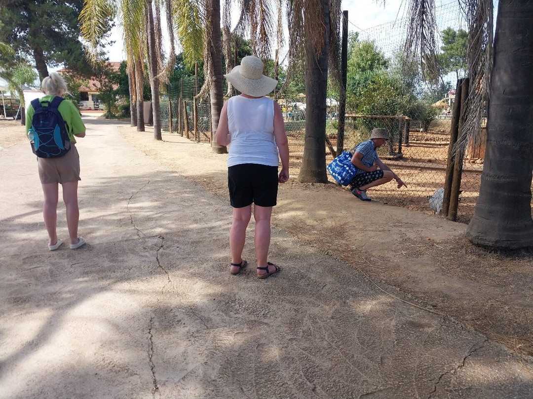 Krazy World Zoo-Algoz必去景点