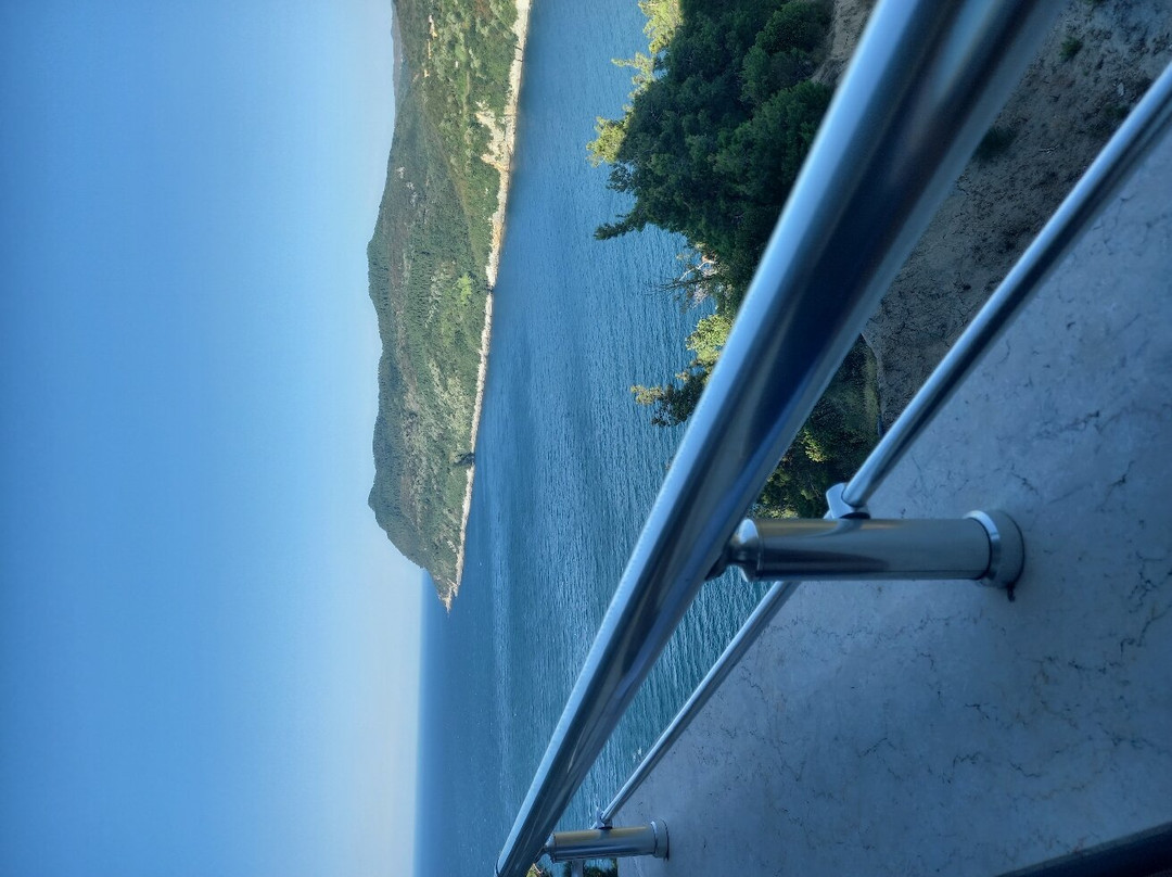 Anne Eli Ev Yemekleri