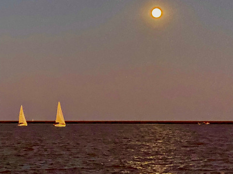 Paseos en Velero-布宜诺斯艾利斯必去景点