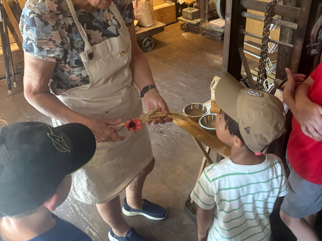 Cogglesford Watermill-Sleaford必去景点