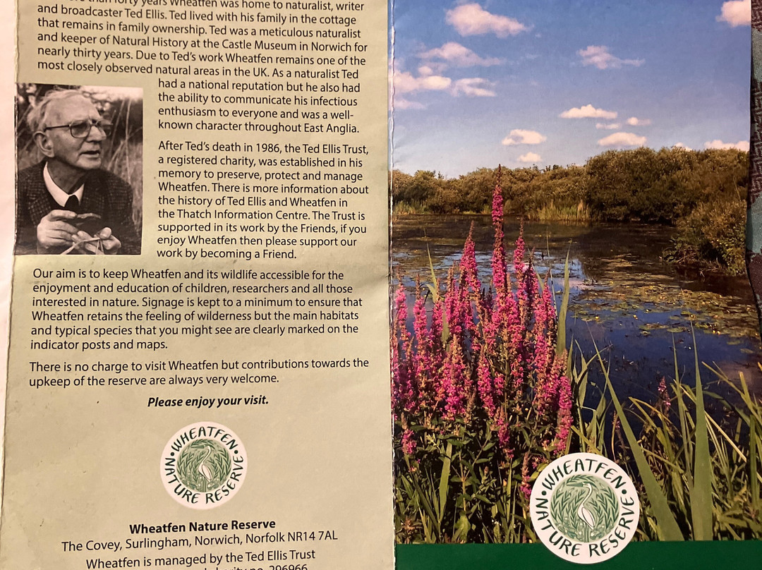 Wheatfen Nature Reserve Surlingham-诺威奇必去景点