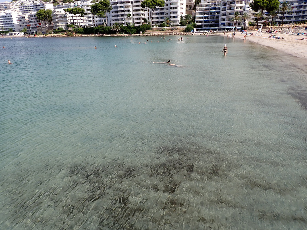 Playa Santa Ponça-圣庞沙必去景点