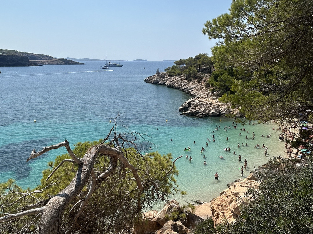 Cala Saladeta-圣安东尼德波特曼尼必去景点
