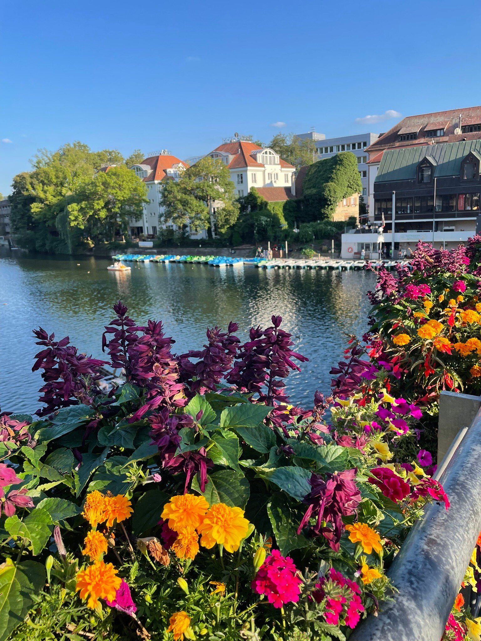 Domizil Tubingen-官方