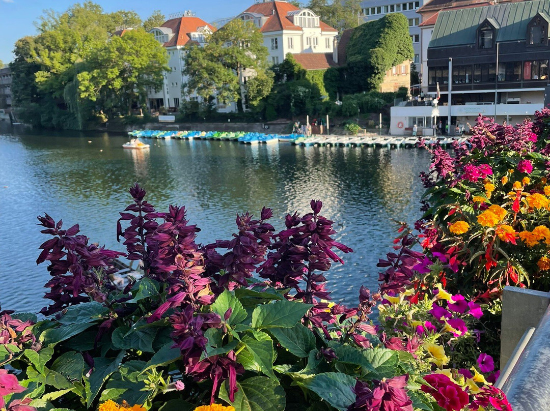 Domizil Tubingen主图