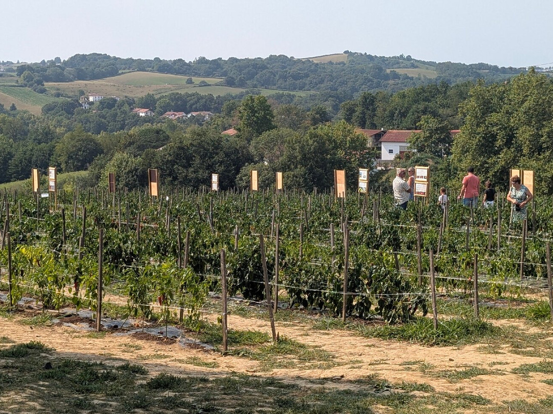 L'Atelier du Piment-Espelette必去景点