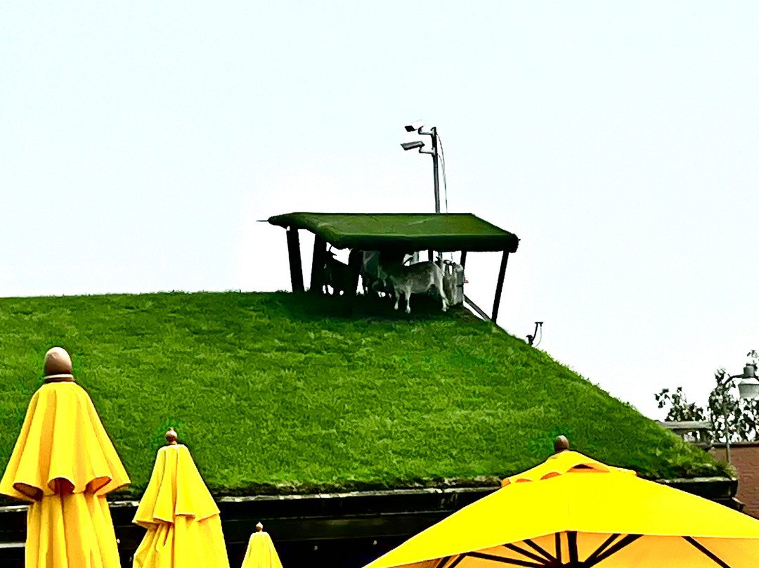 Al Johnson's Swedish Restaurant & Butik-锡斯特贝必去景点