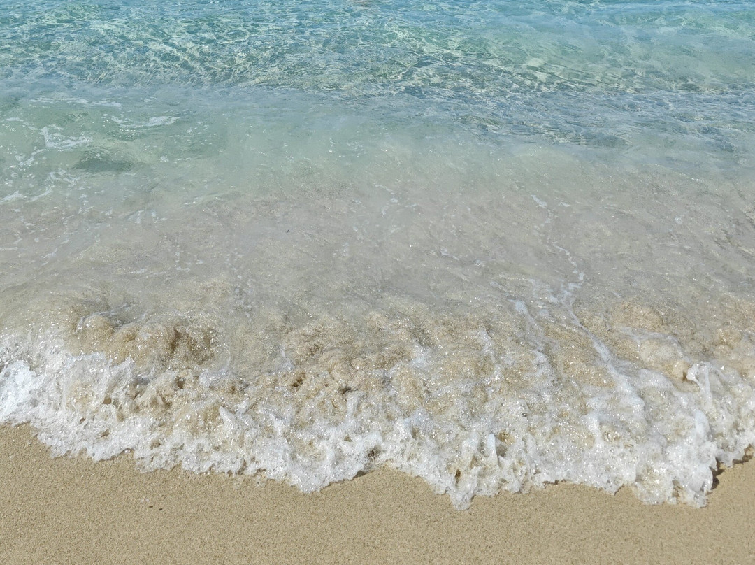 Lido Bacino Grande主图