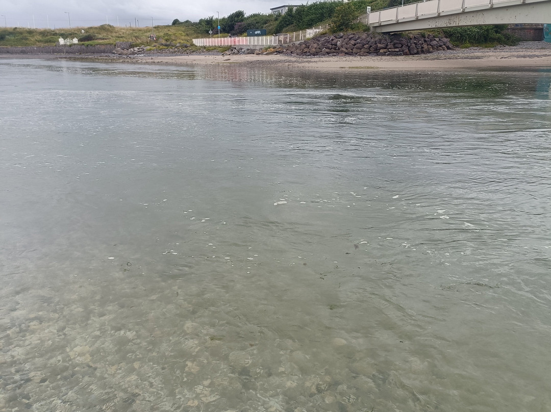 Four Shore Adventures-Laytown必去景点