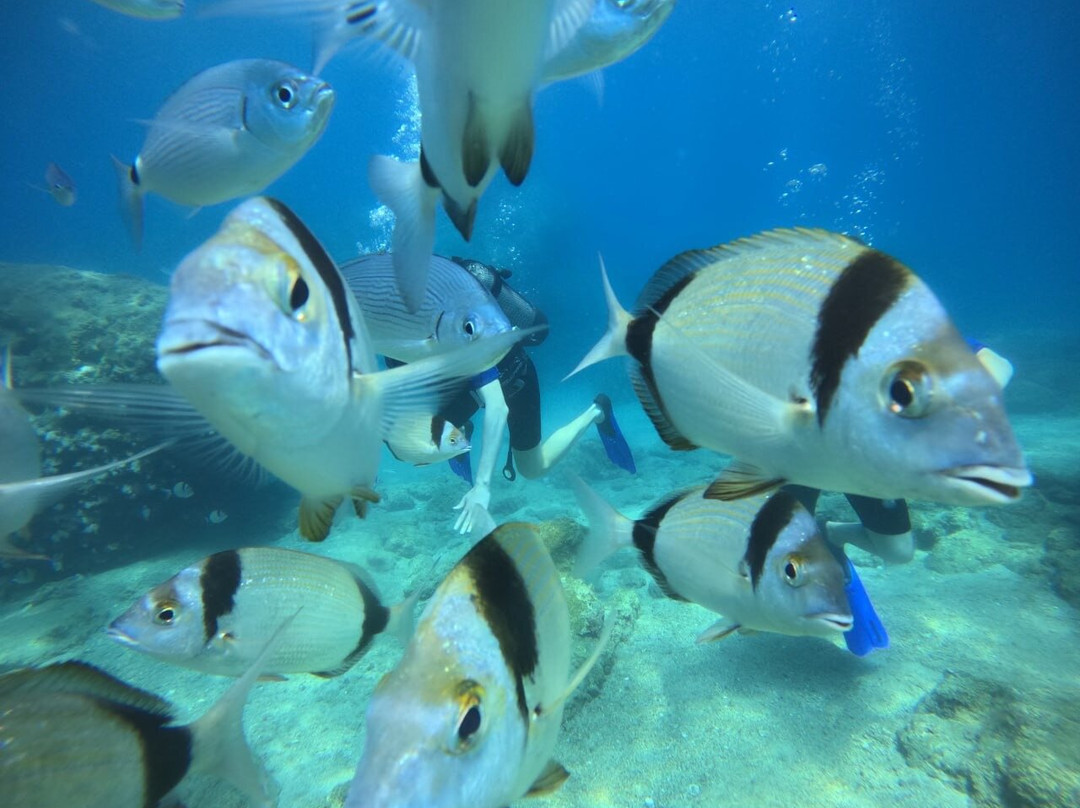 Blue World Diving Center-Tekirova必去景点