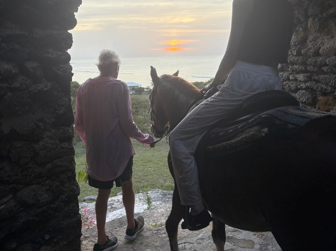 Equus Rides Horseback Riding St. Croix-Frederiksted必去景点