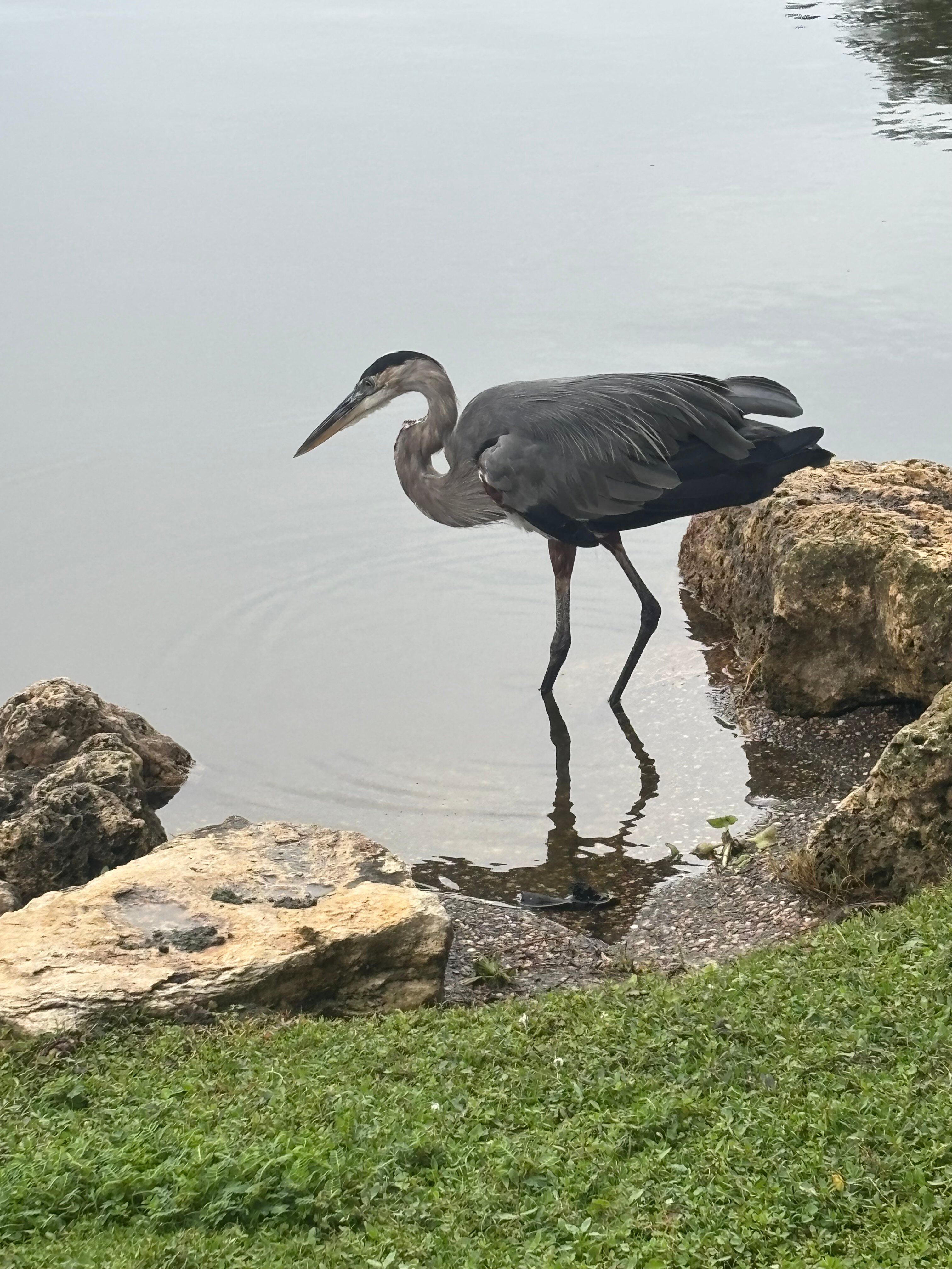Embassy Suites by Hilton The Woodlands® at Hughes Landing-酒店景观