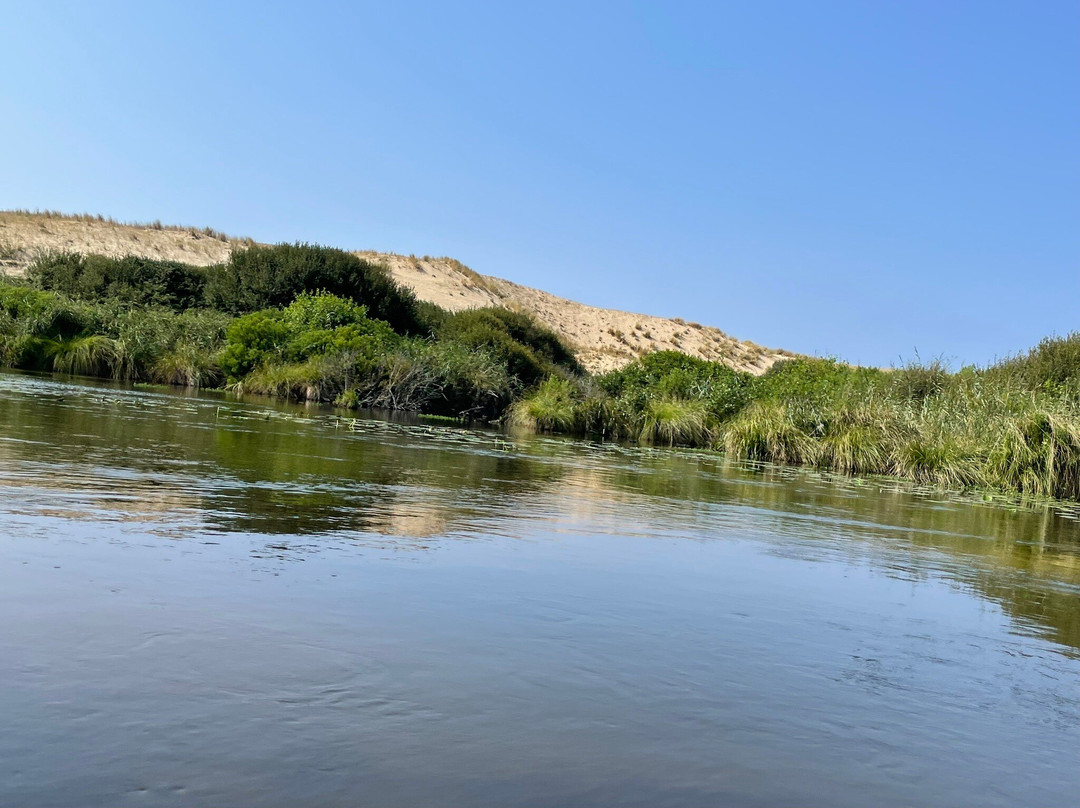 Les Bâteliers Du Courant D'huchet-Leon必去景点
