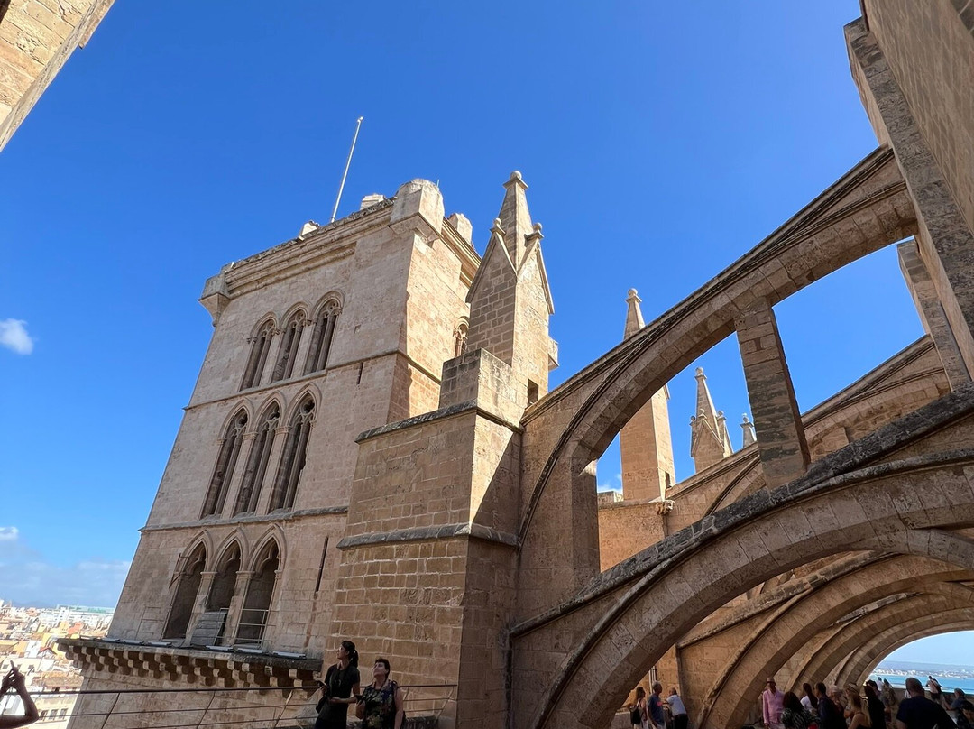 Terrazas de la Catedral de Palma-马洛卡帕尔马必去景点