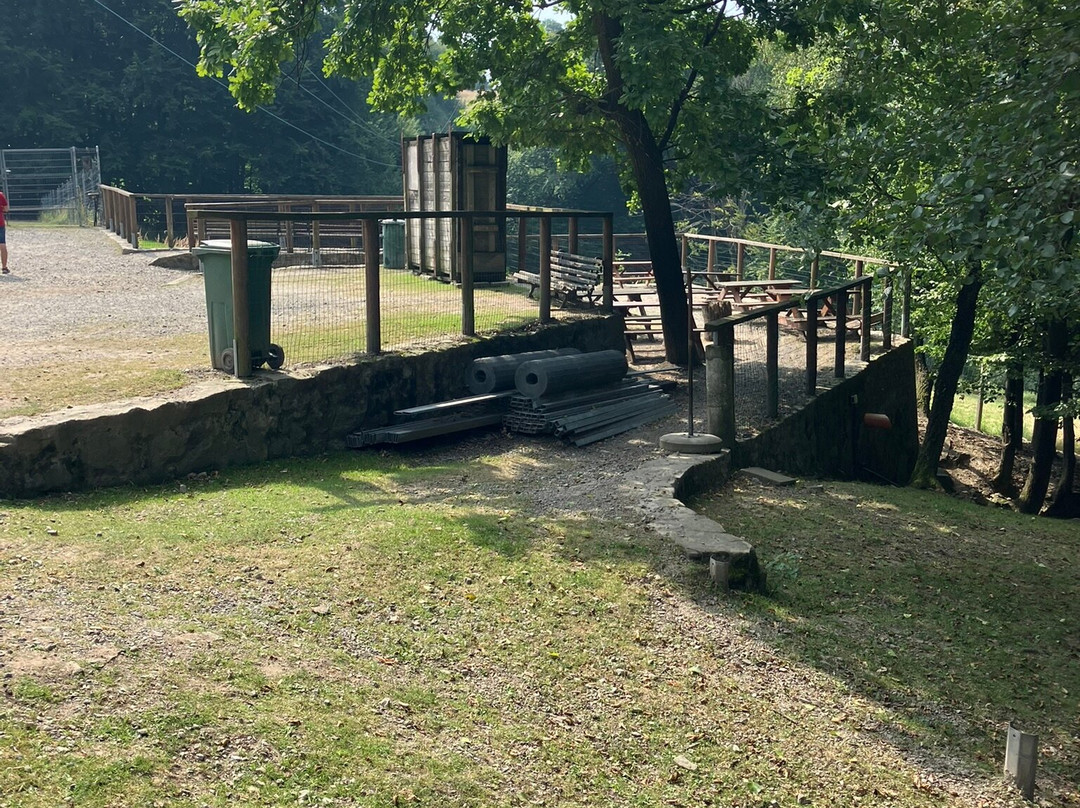 Lesny Park Niespodzianek-Ustron必去景点