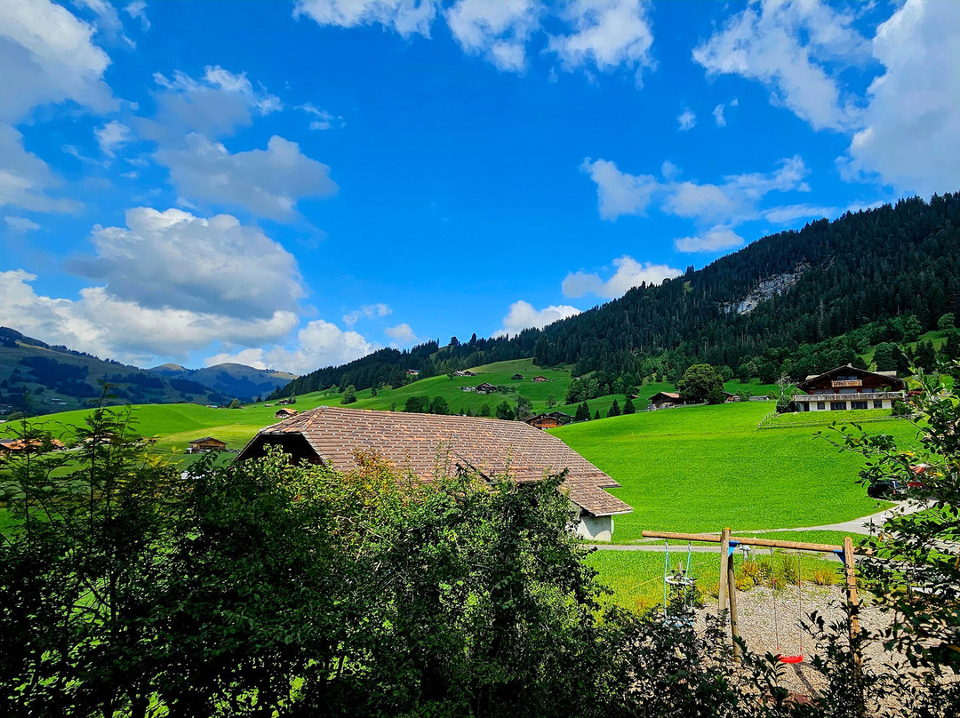 Hotel Le Grand Chalet Gstaad主图