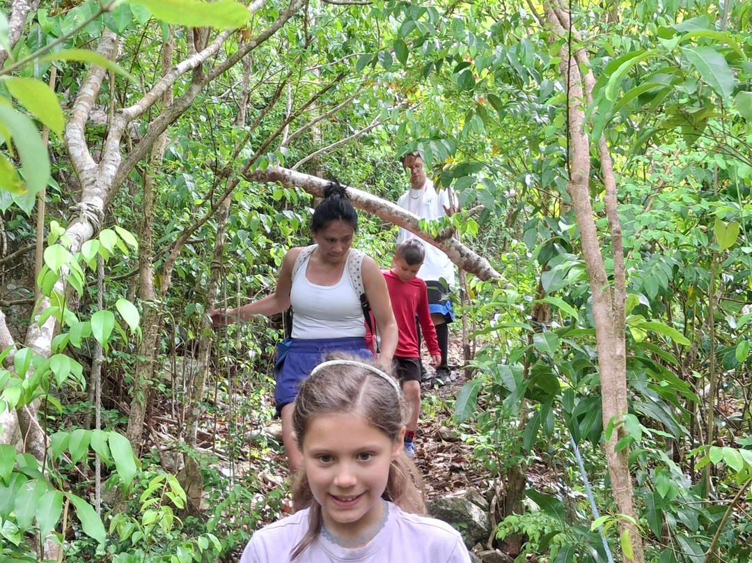 The Hillside: Eco Retreat-菲利普斯堡必去景点