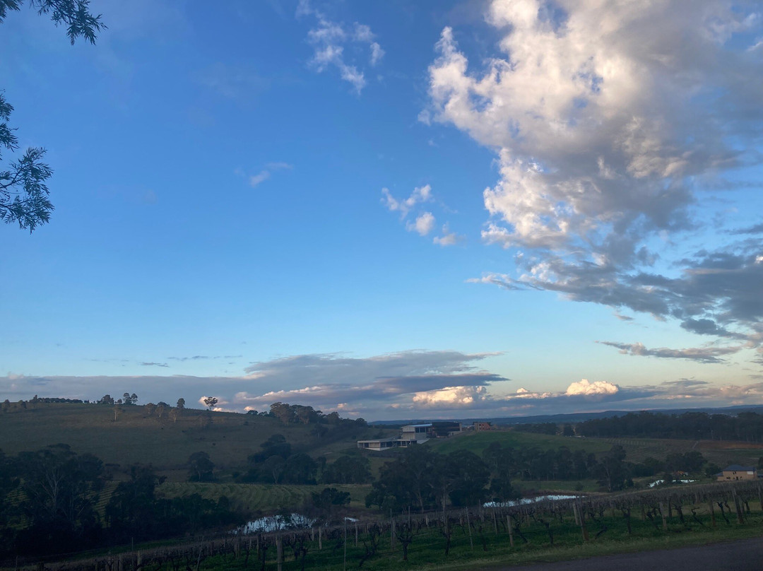 Petersons Wines-Mount View必去景点