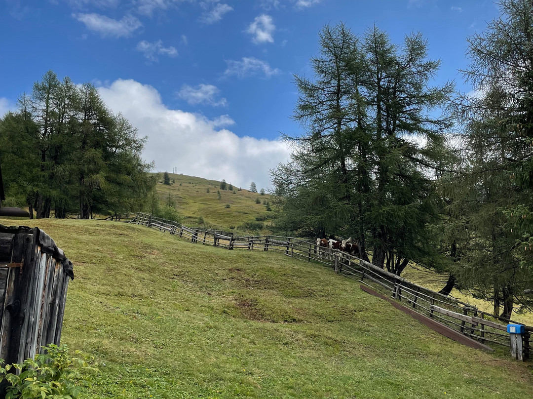 阿尔平戈珍酒店主图