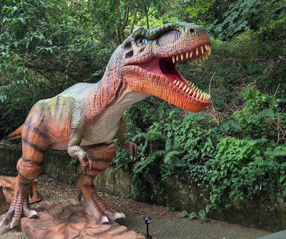 Combe Martin Wildlife And Dinosaur Park-伊尔弗勒科姆必去景点