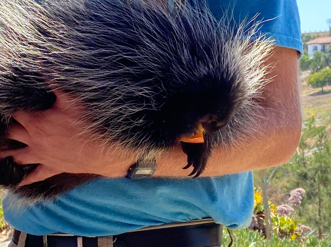 Wild Wonders, Inc.-Bonsall必去景点