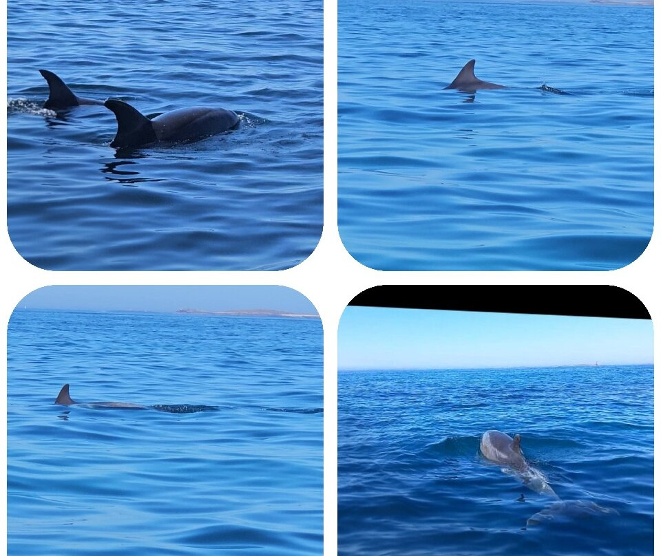 Archipel Excursions-勒孔凯必去景点