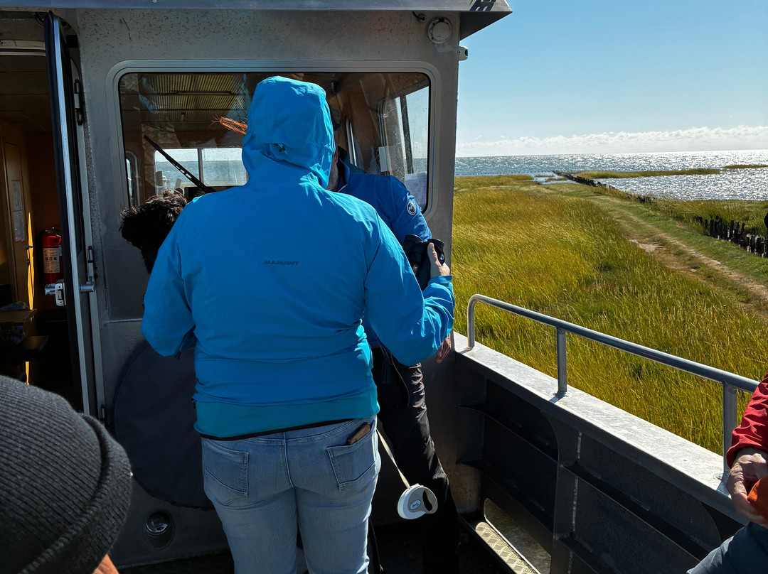 Turfaergen Mandopigen-Mandoe必去景点