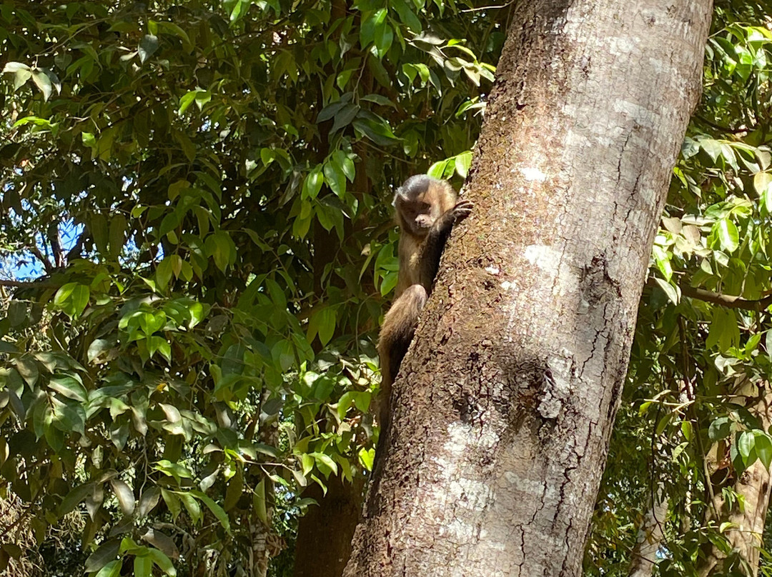 Parque Municipal de Sorriso-Sorriso必去景点