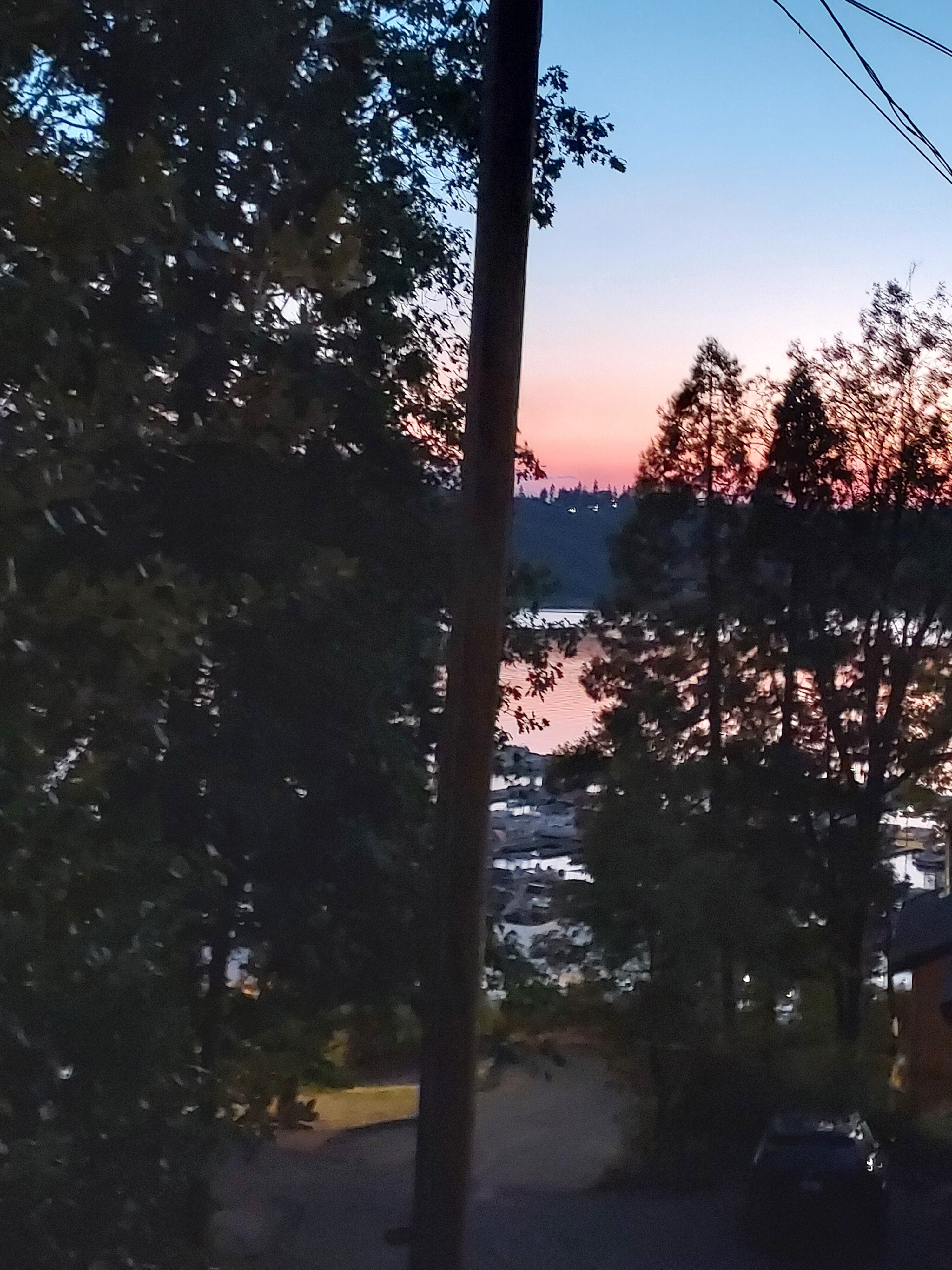 松树酒店-酒店景观