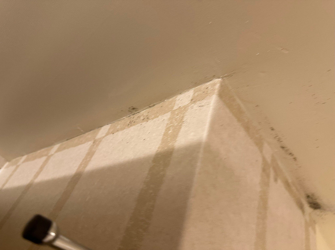 Golden Nugget Laughlin主图