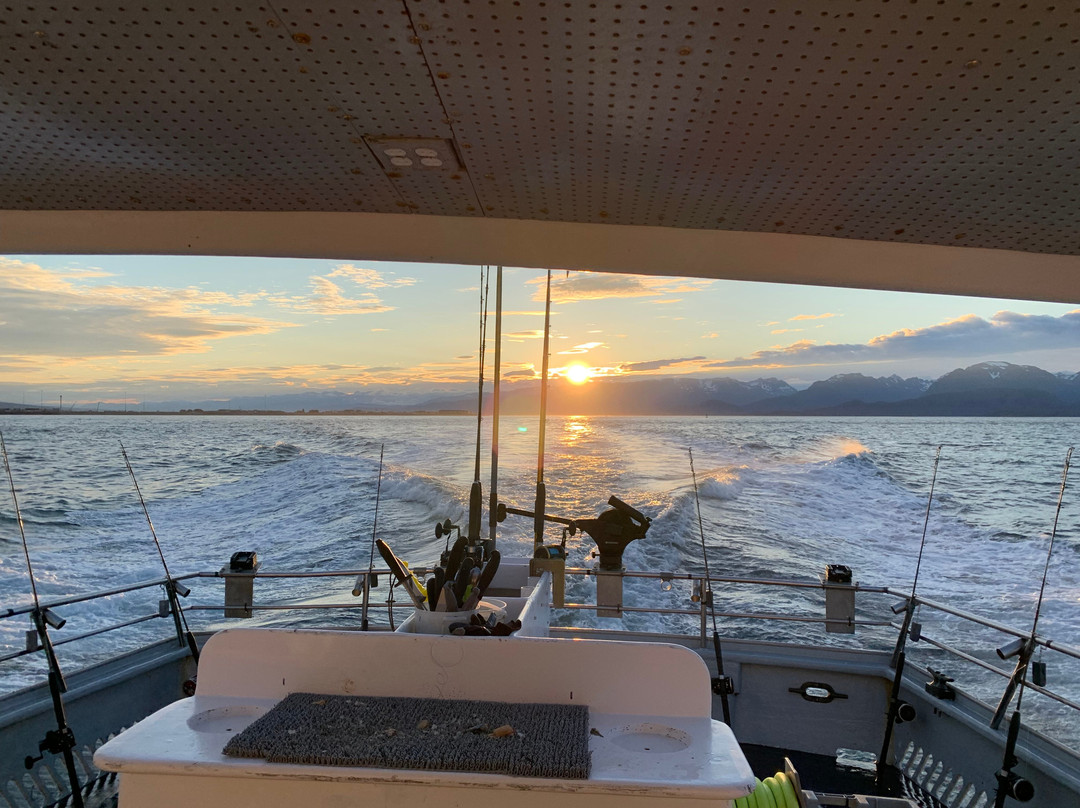 North Country Charters-荷马必去景点