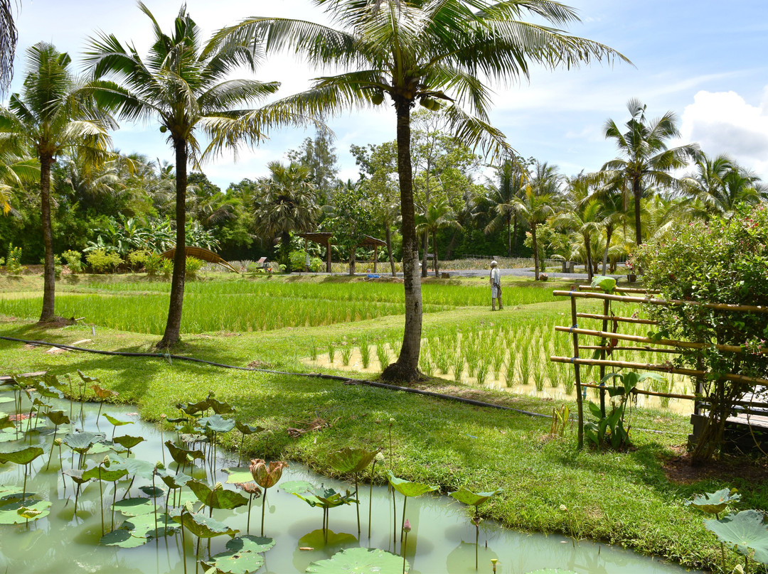 Old Phuket Farm-Thep Krasattri必去景点