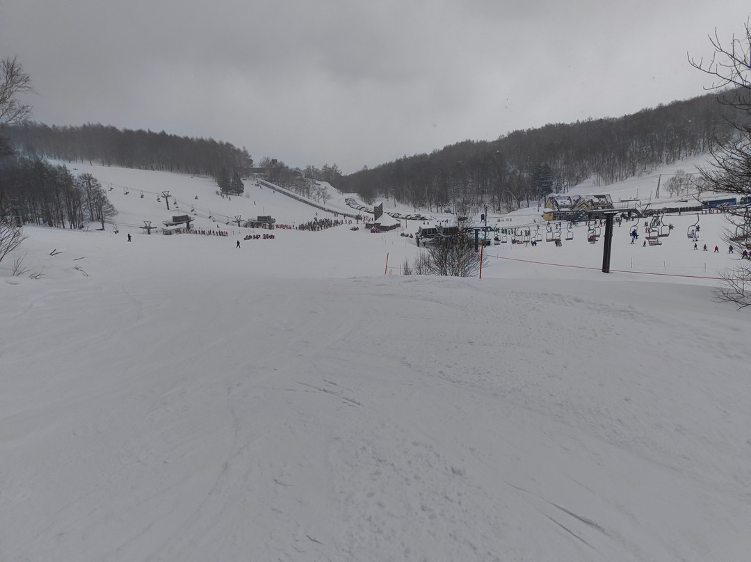 手稻山滑雪场-札幌市必去景点