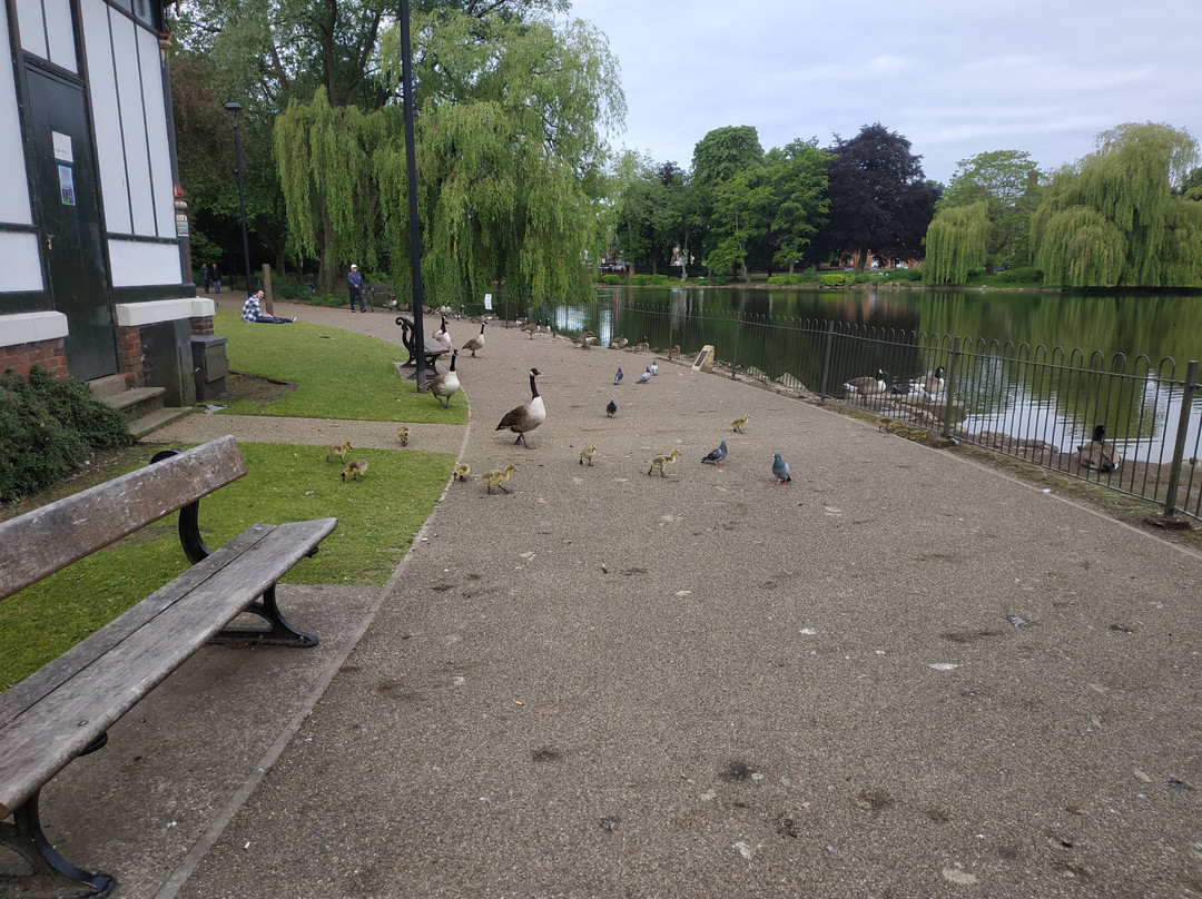 Walsall Arboretum-沃尔萨尔必去景点