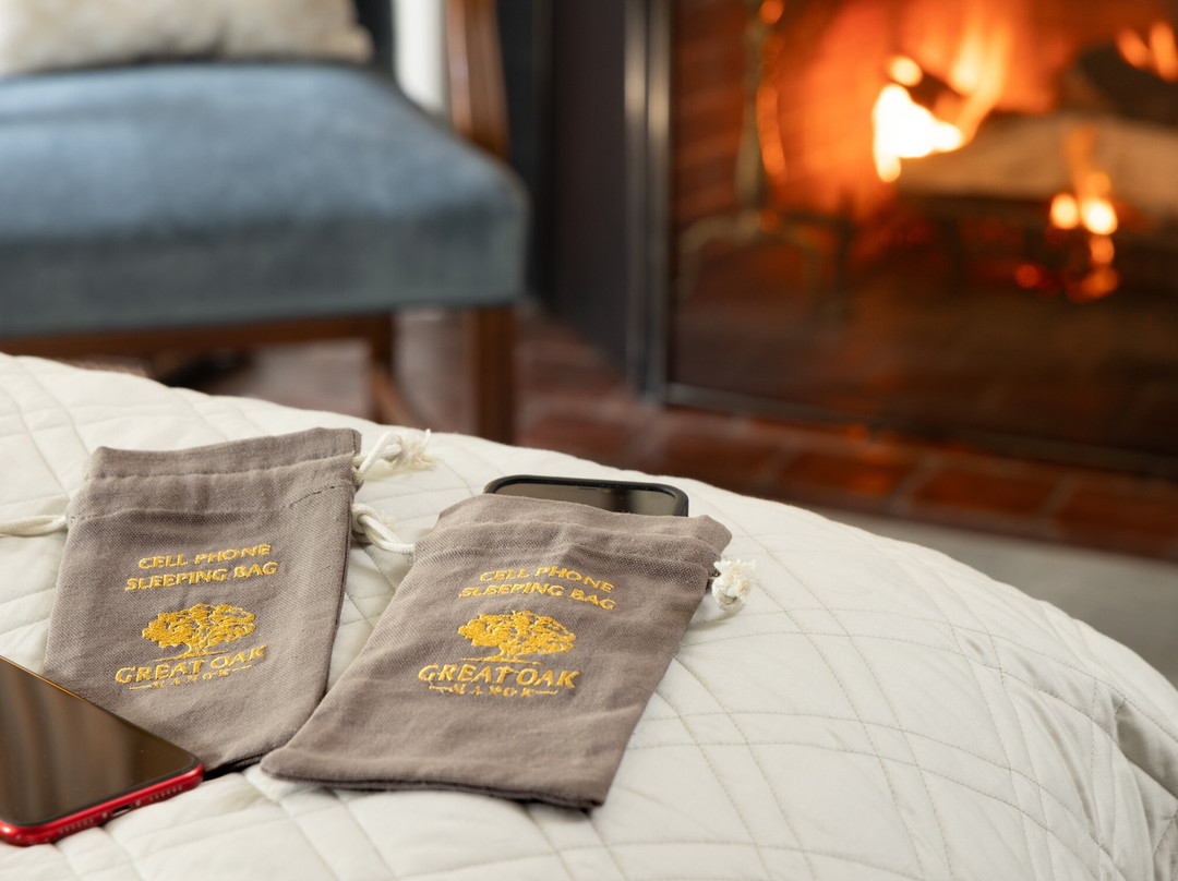 Great Oak Manor主图