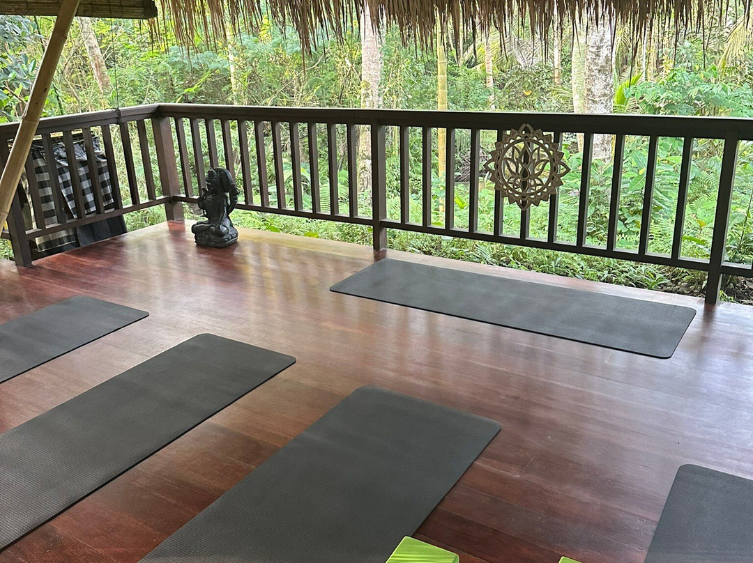 The Yoga House主图